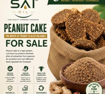 PEANUT CAKE