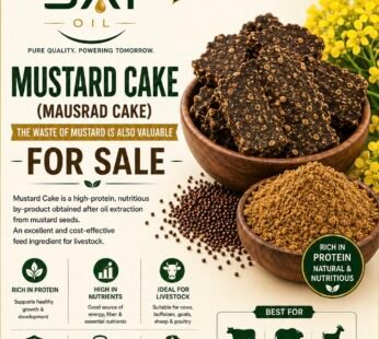 MUSTARD CAKE