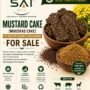MUSTARD CAKE